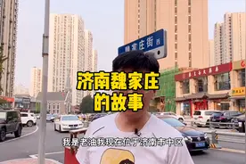 济南魏家庄的故事视频封面