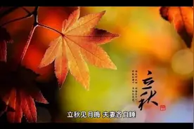 老话说立秋见月晦，夫妻各自睡，七不出门，八不回家！大家信吗