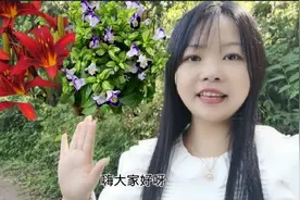 养花女在农村野外发现了，两种免费的“漂亮花”，高兴坏了！视频封面