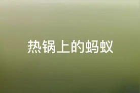 热锅上的蚂蚁视频封面