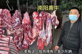 河南南阳黄牛身上哪个部位的肉吃着最得劲？牛肉汤馆老板来告诉你视频封面