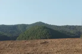 龟地，可惜已破！视频封面