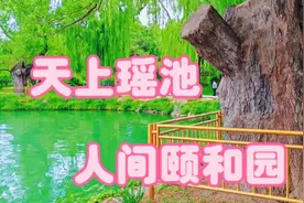 夏天里的颐和园放在整个园林界真的是美到炸裂，现实版的天上人间视频封面