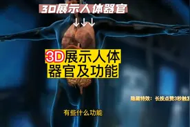 3D展示人体器官及功能。#健康科普 #人体奥秘视频封面