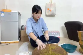 18.6斤超大菠萝蜜能出多少肉？50块钱一个，剥起来也太费劲了吧！视频封面