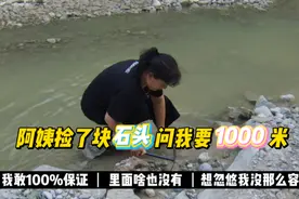 阿姨捡了一块绿松石，问我要1000元，我估计里面根本没货视频封面