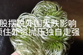 林耘：A股摆脱外围影响顶住北向资金抛压独自走强，罕见！视频封面