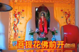 《菩提花佛前开》见者多福视频封面