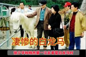 白龙马惨死，一匹有功劳、有贡献的马，拍完西游记之后凄惨的结局视频封面