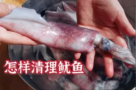 如何快速清理鱿鱼，厨技必备 ，一看就会，学会随时吃新鲜鱿鱼视频封面