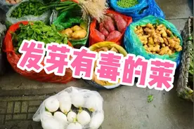 有毒！为了家人身体健康，这4种发芽的蔬菜就不能吃了，你知道吗视频封面