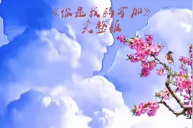 音乐欣赏／你是我的罗加视频封面