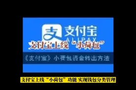 支付宝上线“小荷包”功能