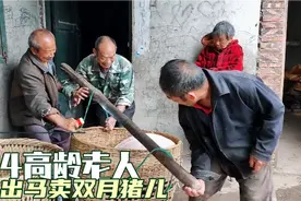 射洪农村，94高龄老人出面卖双月猪，看看多少钱一斤视频封面