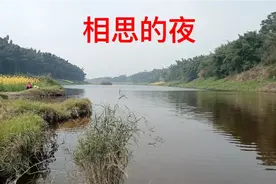 宜宾南溪区中坝网红打卡风景视频封面
