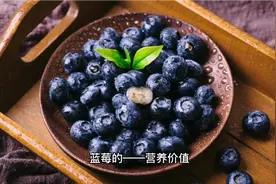 蓝莓的——营养价值视频封面