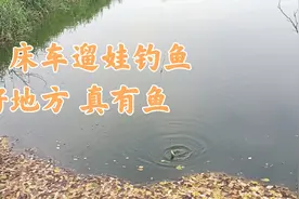 郑州黄河滩好钓点，床车遛娃钓鱼好地方，野钓真出鱼免费的