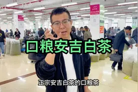 大鹏来到安吉，拿下800斤正宗安吉白茶，口粮茶性价比超高视频封面
