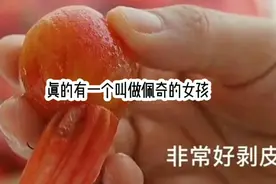 小猪佩奇的都市传说视频封面