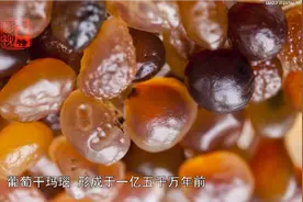 新疆•葡萄干玛瑙（上集）视频封面