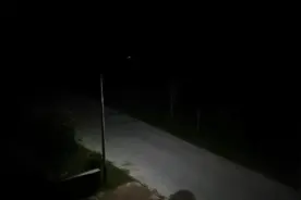 夏天的夜里，青蛙呱呱的叫声是美妙悦耳的催眠曲。视频封面