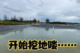 新加坡V哥| 印度尼西亚|巴淡岛买了一块9公顷地来养虾哦！视频封面