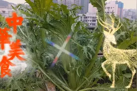 晚餐吃点啥？独特的青菜，清爽甘甜，吃了还想，小时候的味道视频封面