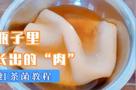 瓶子里也能长出“肉”！教你在家做红茶菌，酸甜可口健脾养胃视频封面