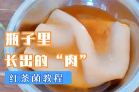 瓶子里也能长出“肉”！教你在家做红茶菌，酸甜可口健脾养胃视频封面