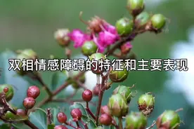 心理咨询室的故事  具有双相情感障碍的求助者的主要表现～6视频封面