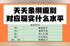 天天象棋级别对应现实什么水平？