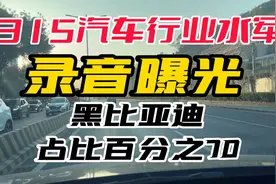 315汽车行业水军和黑粉，录音曝光！黑比亚迪占比百分之70！视频封面