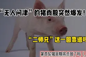 “无人问津”的猪肉股突然爆发！“二师兄”这一回靠谱吗？（上）视频封面