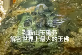 到鞍山玉佛苑，解密世界上最大的玉佛视频封面