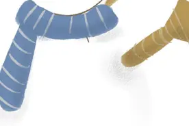 了解一下美女视频封面