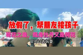 放假了，帮朋友接孩子，遇见最美的菏花视频封面