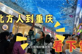 万万没想到，两个北方人到重庆第一天竟然是在室内看下雪视频封面