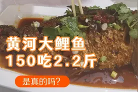 壶口的黄河大鲤鱼，山西人做的味道好极了，150一条都超值了！视频封面