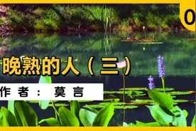 莫言：晚熟的人（三）知青为避开当地青年，躲到粮仓里放电影视频封面