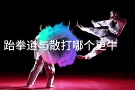 跆拳道和散打哪个更牛？哪个更适合你视频封面