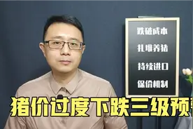 猪肉大跌引起国家注意，猪粮比价过度下跌三级预警，猪贱伤农视频封面