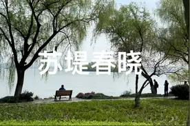 春暖花开，游杭州西湖苏堤，赏春天美景视频封面