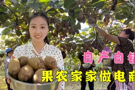陕西猕猴桃喜获丰收，果农紧跟潮流玩起电商，生意好幸福感爆棚视频封面
