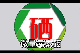 硒的保健歌视频封面