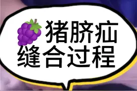 猪脐疝缝合过程，建议收藏视频封面