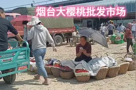 山东烟台大樱桃批发市场，你知道在哪吗？