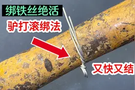 偷学了一个绑铁丝的绝活，原来用驴打滚的方法绑铁丝，又快又结实视频封面