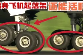 藏身飞机起落架   还能活吗？视频封面