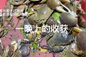惠州最佳赶海地之一，青蟹最多的红树林、记得点赞收藏哦视频封面