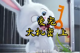 兔老大逃不过真香定律，一口气看完高分动画电影《爱宠大机密》上视频封面